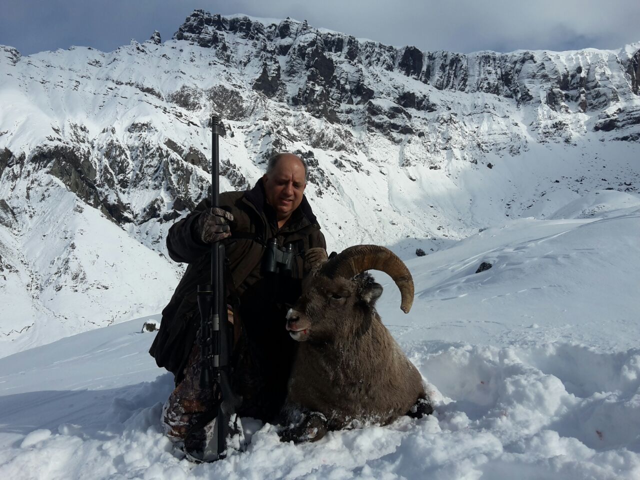 охота на камчатского снежного барана
